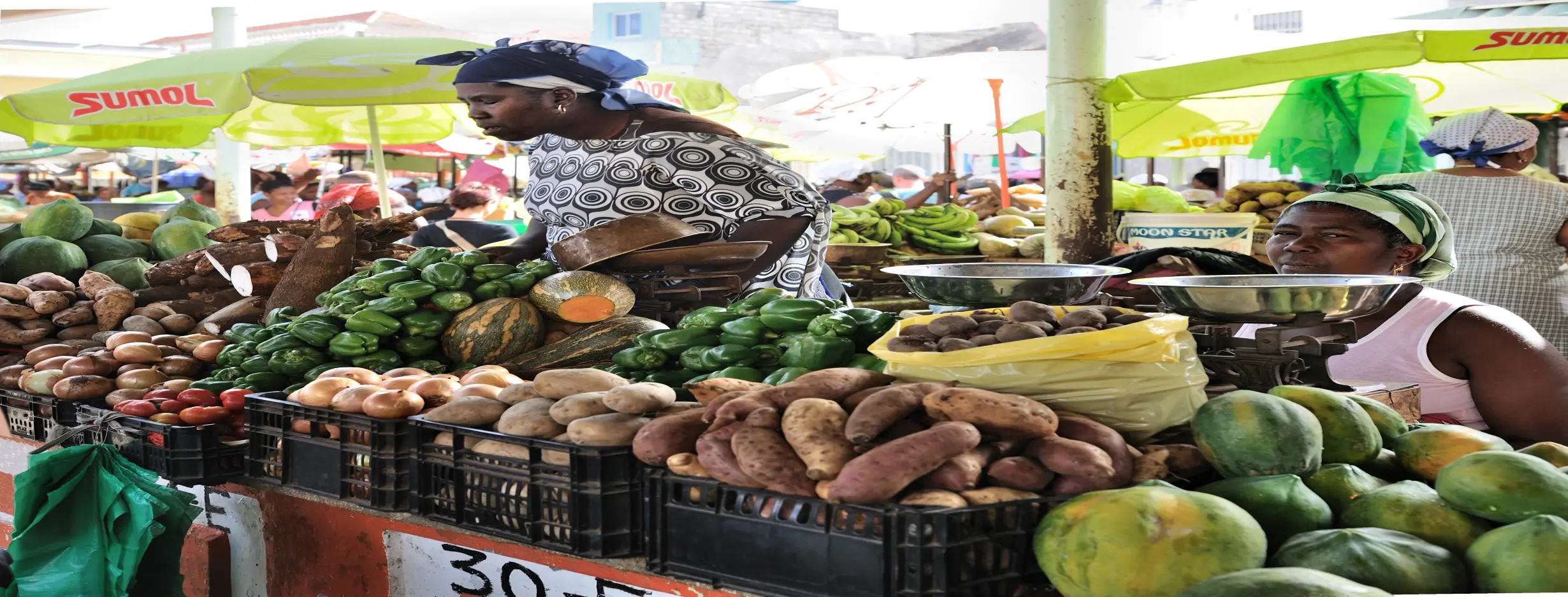 Image for Market Wander